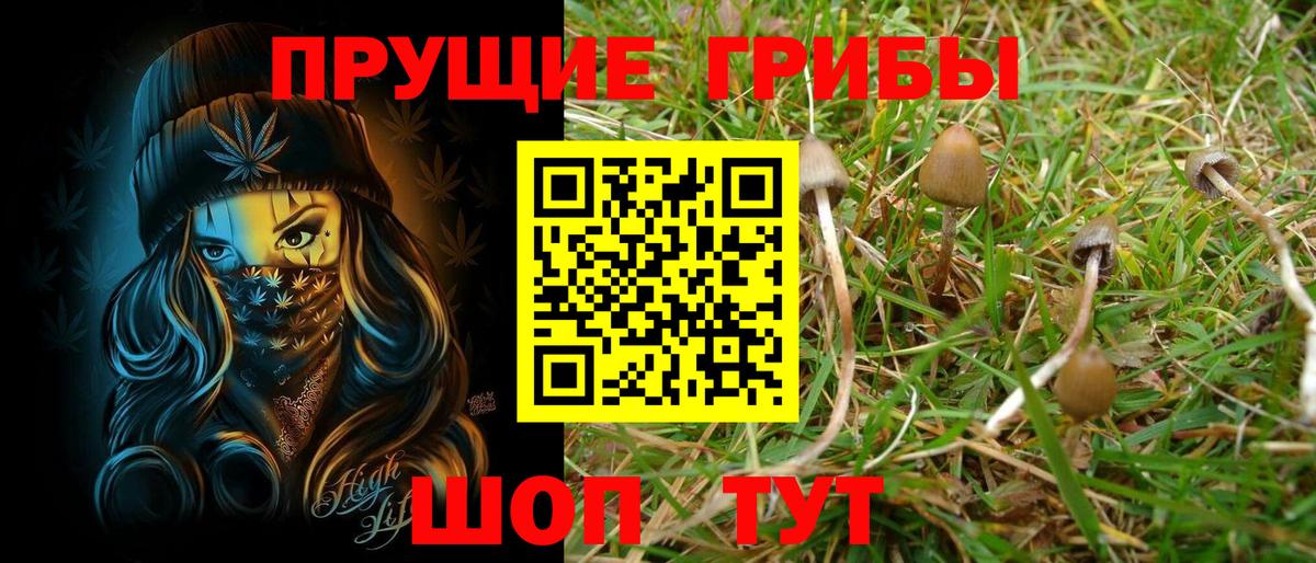 Псилоцибиновые грибы Psilocybine cubensis  Вход с VPN  сколько стоит  Белая Калитва 