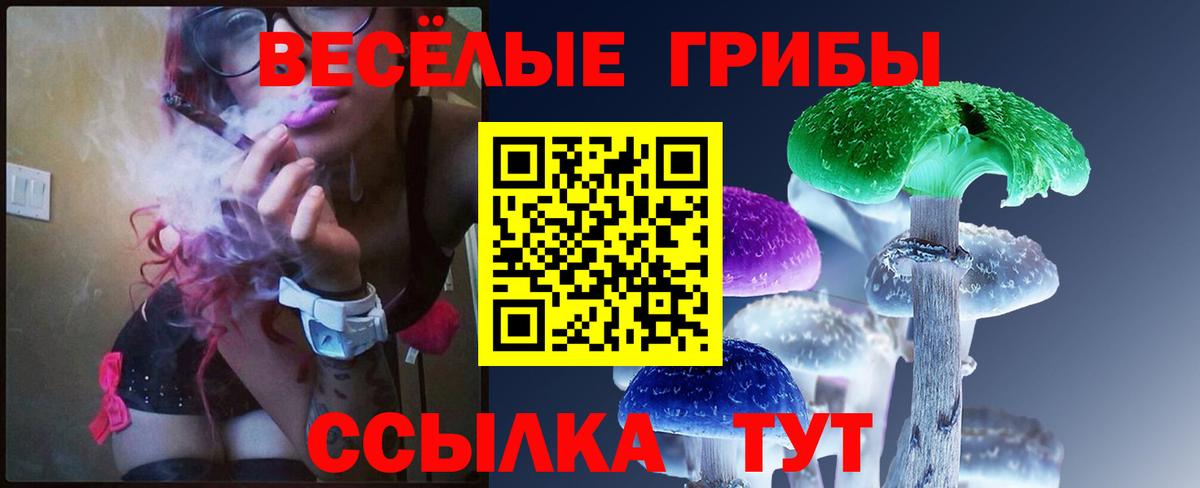 Псилоцибиновые грибы мицелий Белая Калитва